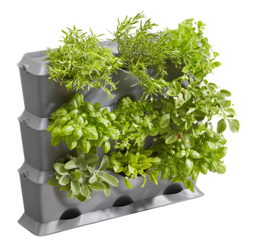 NatureUp SET DE PERETE VERTICAL 13150