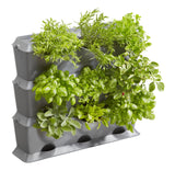 NatureUp SET DE PERETE VERTICAL 13150