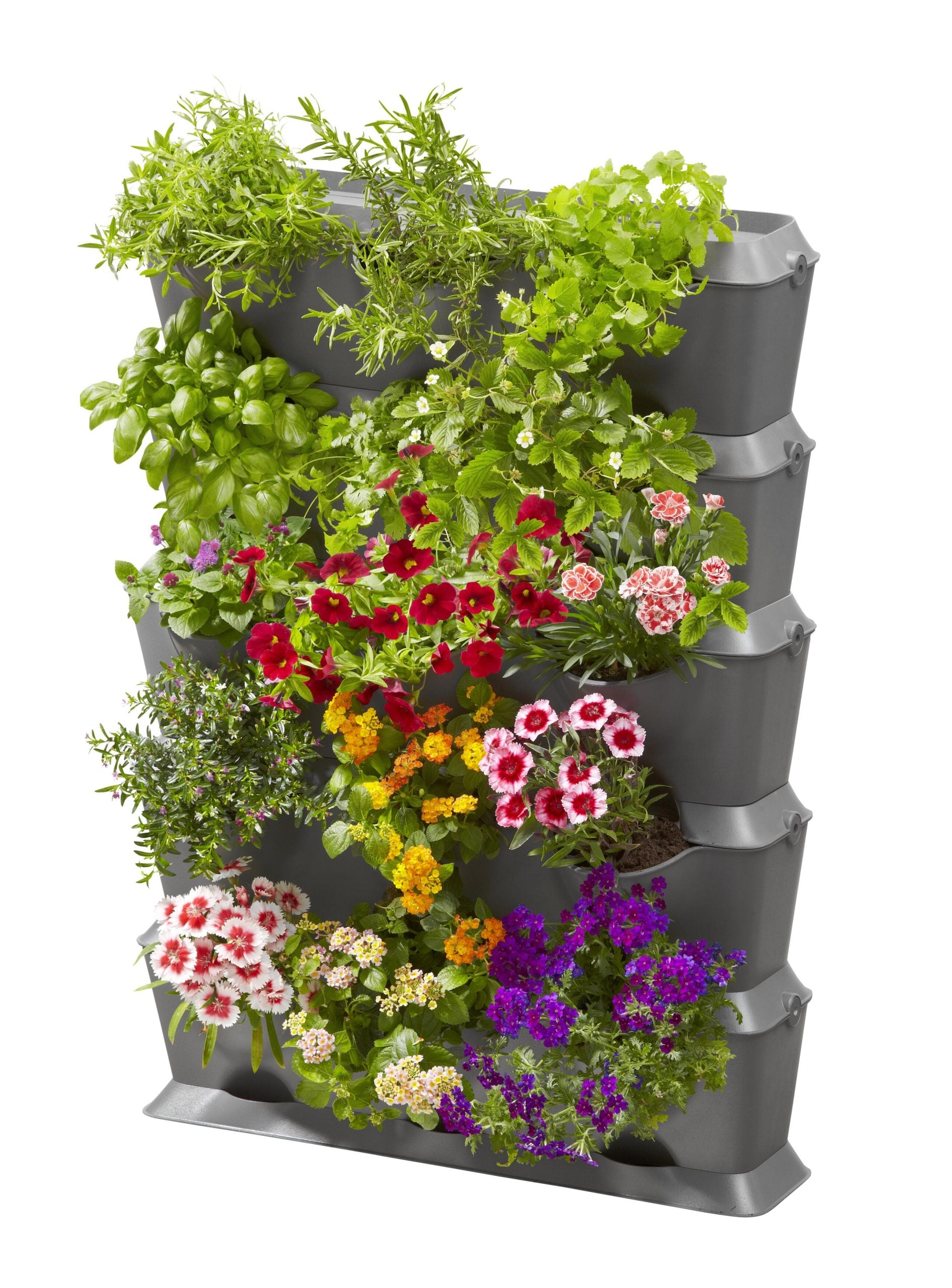 SET VERTICAL DE PERETE  NATURE UP 15 PLANTE - 13151
