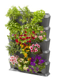 SET VERTICAL DE PERETE  NATURE UP 15 PLANTE - 13151