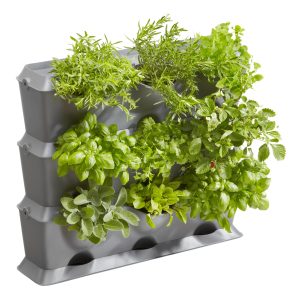 NatureUp SET DE PERETE VERTICAL 13150